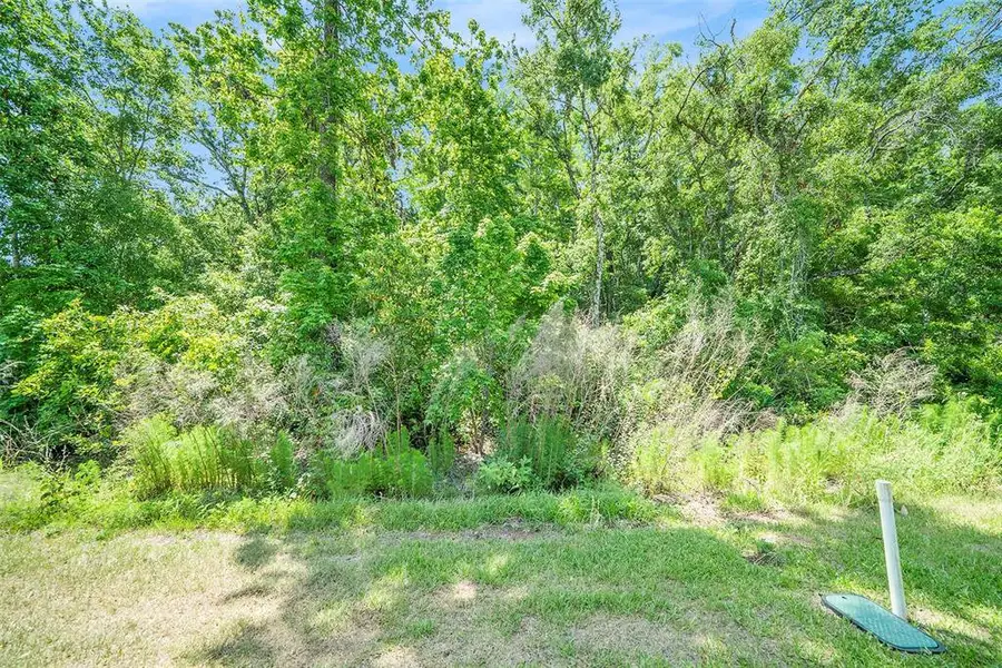 Natural landscape and outdoor views near in New Port Richey (Image 27). Natural landscape and outdoor views near in New Port Richey (Image 27).