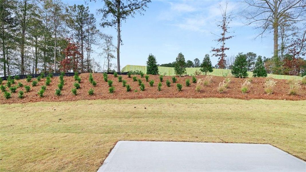 Natural landscape and outdoor views near WillowBrook in Winder (Image 36).