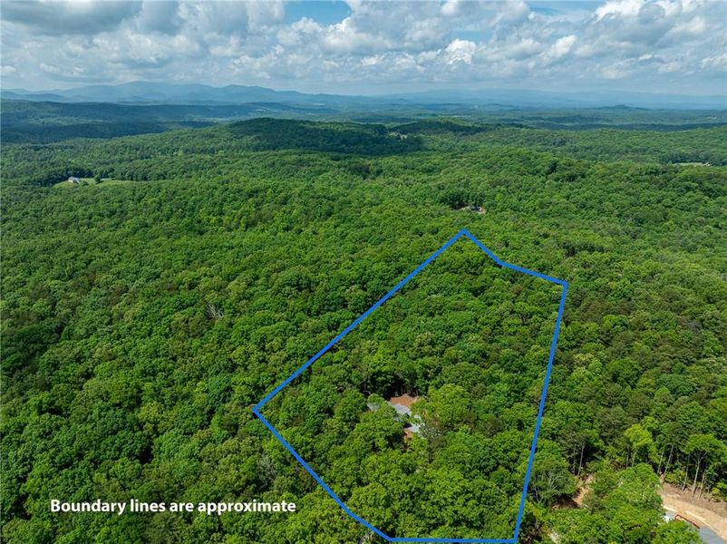 Natural landscape and outdoor views near  in Morganton (Image 35).