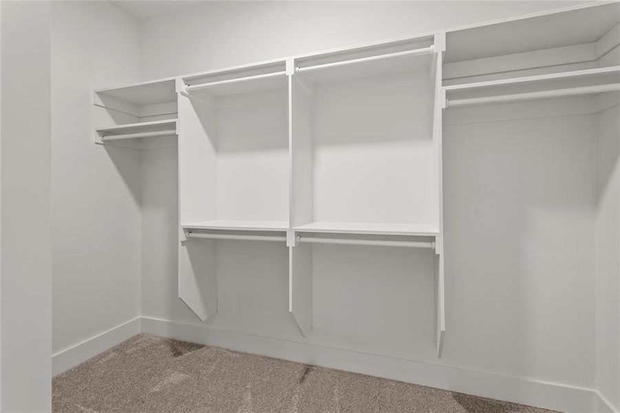 Walk in closet featuring carpet flooring