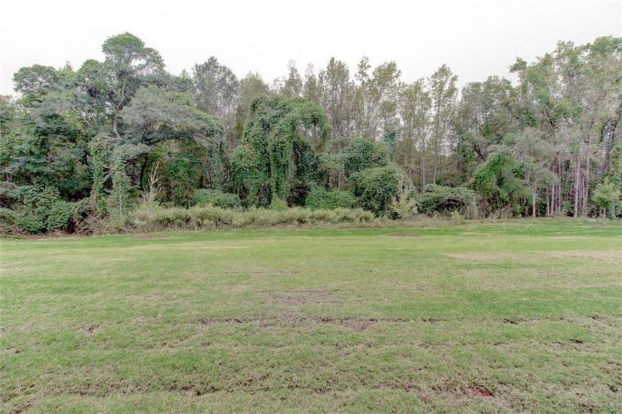 Natural landscape and outdoor views near  in Conyers (Image 50).