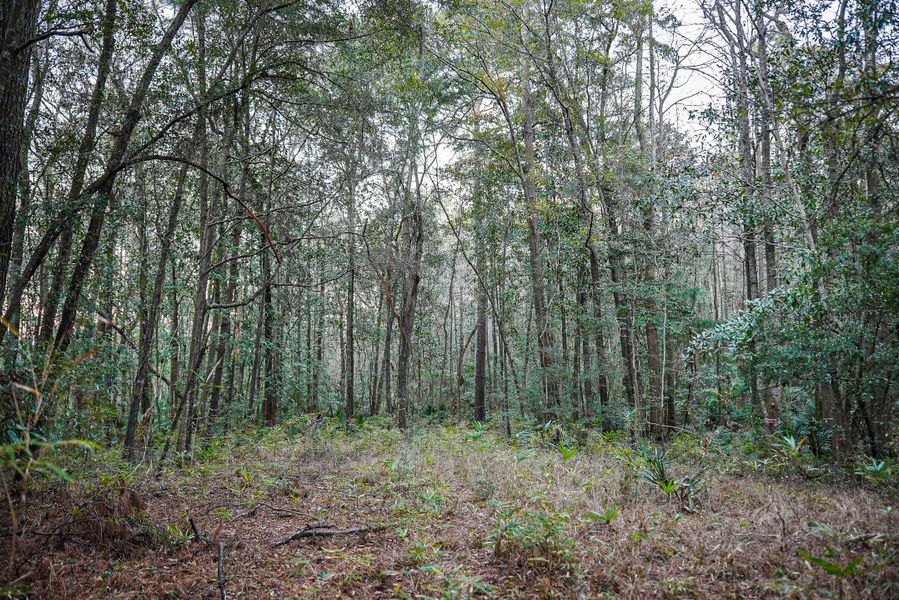 Natural landscape and outdoor views near in Dorchester (Image 18). Natural landscape and outdoor views near in Dorchester (Image 18).