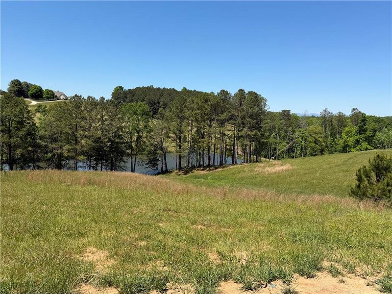 Natural landscape and outdoor views near  in Gainesville (Image 56).