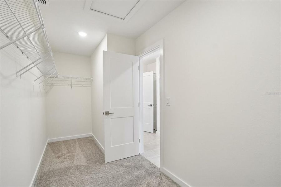 Spacious, unfurnished interior of a new home in Grasslands West, Lakeland (Image 27).