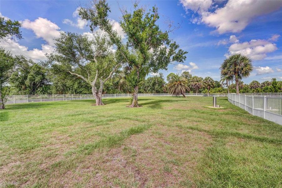 Natural landscape and outdoor views near in Sarasota (Image 73). Natural landscape and outdoor views near in Sarasota (Image 73).