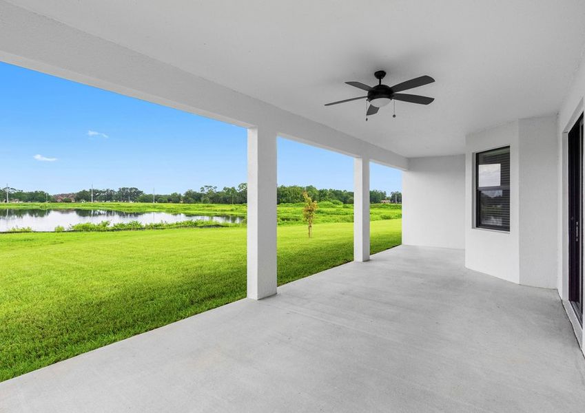 The backyard of the Palm Beach