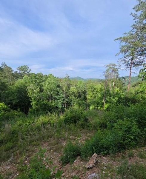 Natural landscape and outdoor views near  in Mineral Bluff (Image 32).