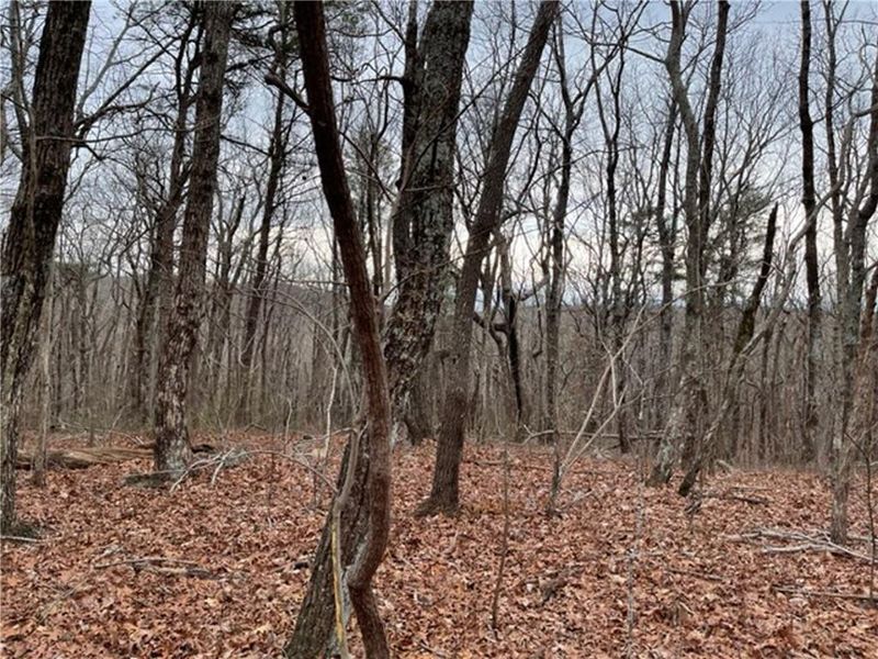 Image 38 of a home in .