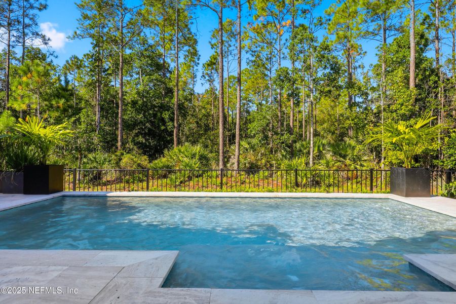 Natural landscape and outdoor views near  in Ponte Vedra (Image 38).