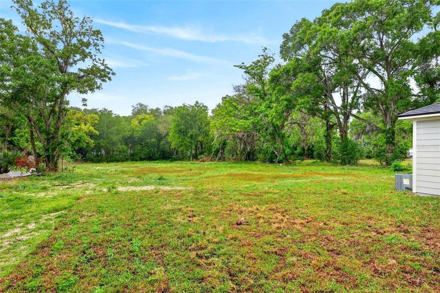 Natural landscape and outdoor views near  in Leesburg (Image 46).
