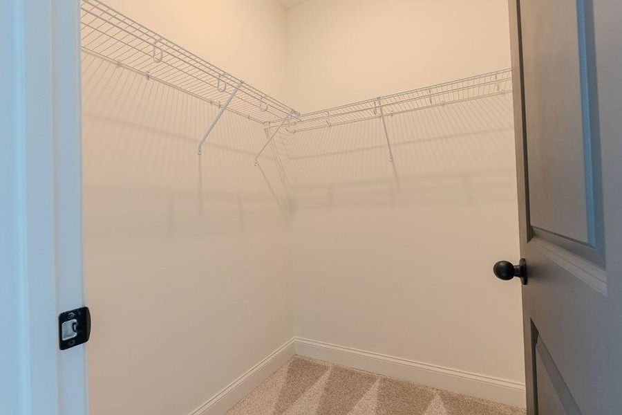 Spacious, unfurnished interior of a new home in , Hoschton (Image 41).