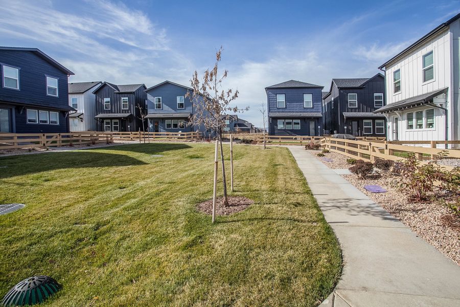 Front exterior of a new home in Prairie Song, Windsor, CO, highlighting curb appeal (Image 2). Front exterior of a new home in Prairie Song, Windsor, CO, highlighting curb appeal (Image 2).