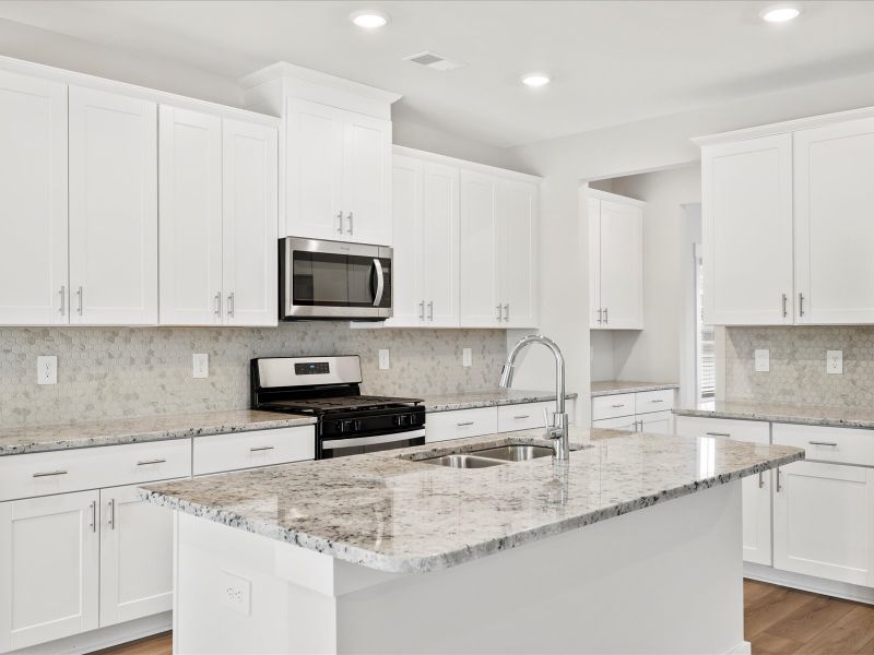 Furnished interior view inside a new home in Cedar Shoals - Signature Collection, Piedmont (Image 7).