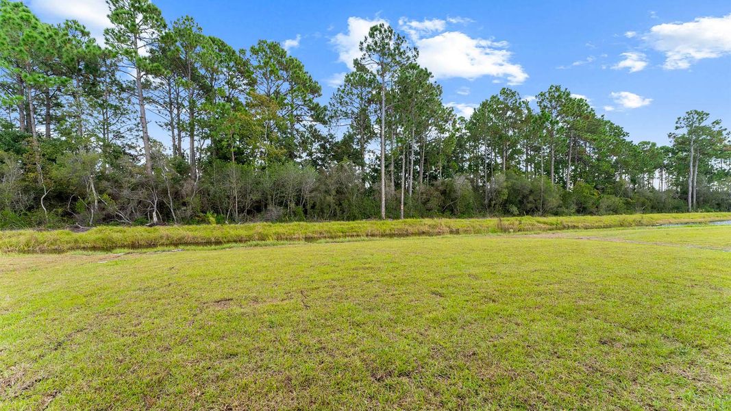 Natural landscape and outdoor views near Buffer Farms in Port Saint Joe (Image 35).