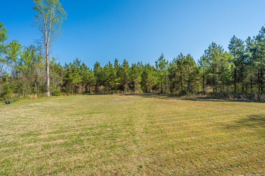 Natural landscape and outdoor views near  in Cottageville (Image 37).