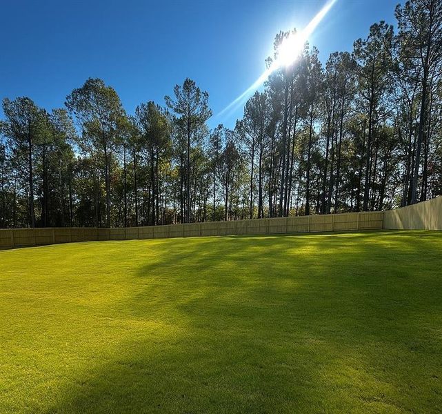 Natural landscape and outdoor views near  in Grayson (Image 4).