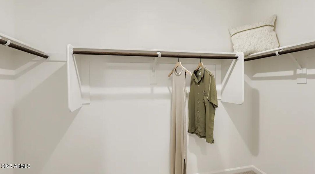 Owners Walk in Closet