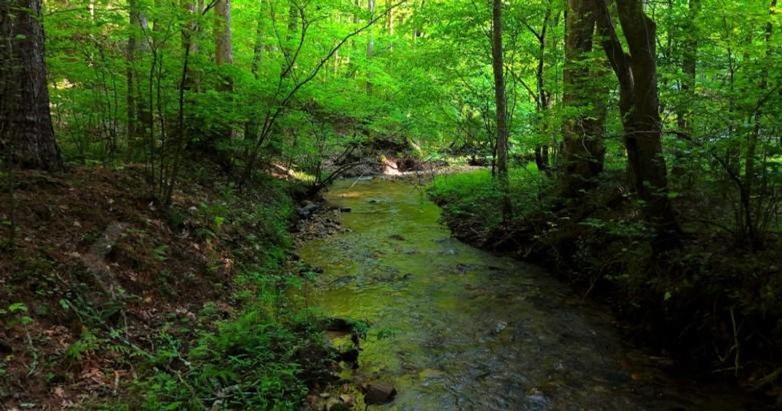 Natural landscape and outdoor views near in Ellijay (Image 9). Natural landscape and outdoor views near in Ellijay (Image 9).