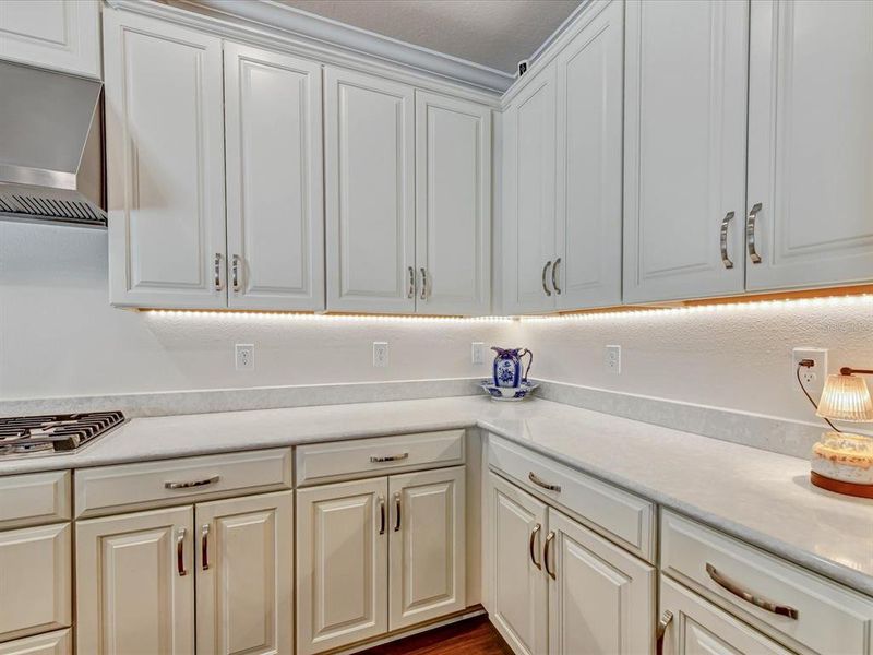 Furnished interior view inside a new home in , Wesley Chapel (Image 6).