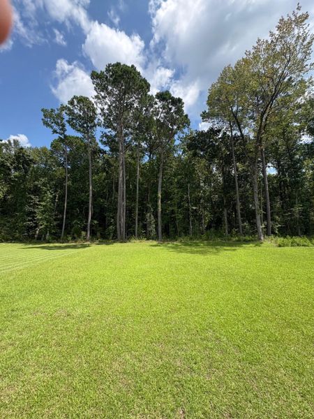 Image 60 of a home in Riverside at Carolina Park.