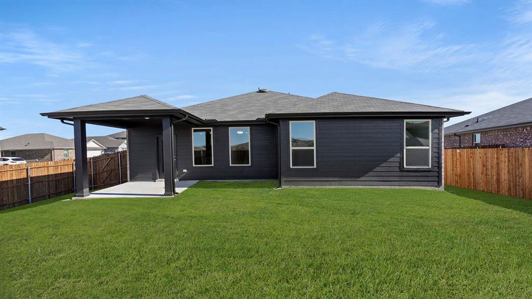 26. 3100 Areca - Back 26. 3100 Areca - Back