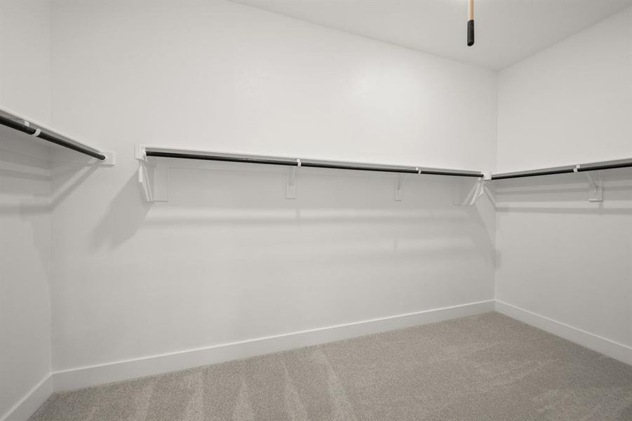 4829 Signal Run- Primary Suite-0095 4829 Signal Run- Primary Suite-0095