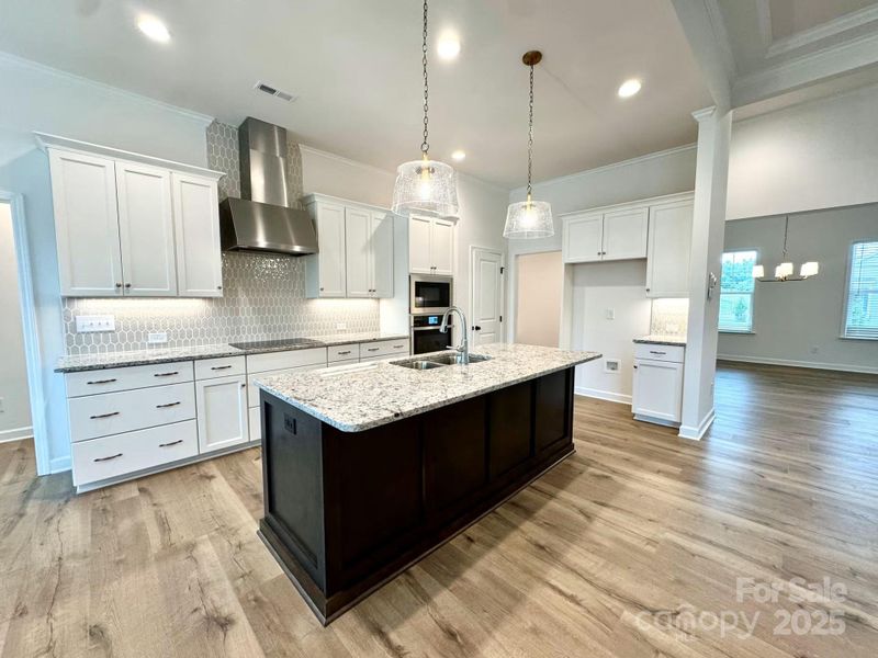 Furnished interior view inside a new home in Brighton Park, Mount Pleasant (Image 6).