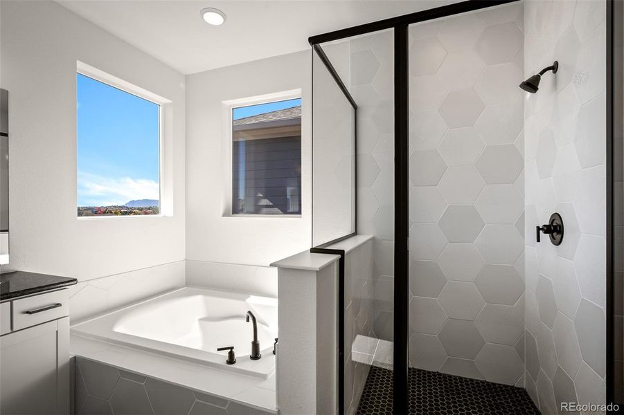 Furnished interior view inside a new home in Trailside at Cottonwood Creek, Colorado Springs (Image 14).