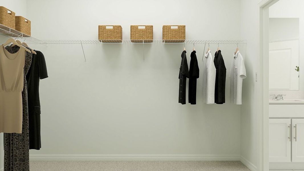 1596 Allegiance Owners WIC F2 Base2 4 30 25