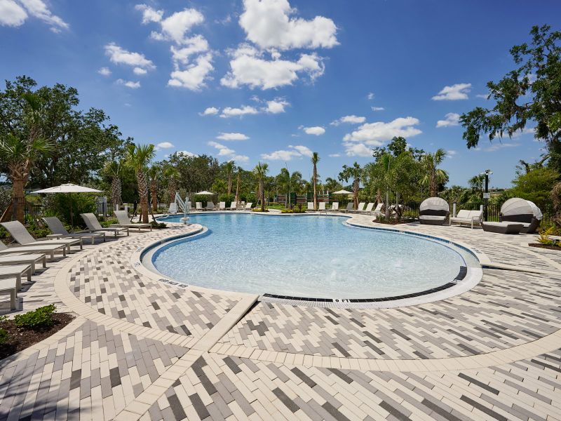 Community amenities in Benton Hills - Premier Series, Brooksville (Image 23). Community amenities in Benton Hills - Premier Series, Brooksville (Image 23).