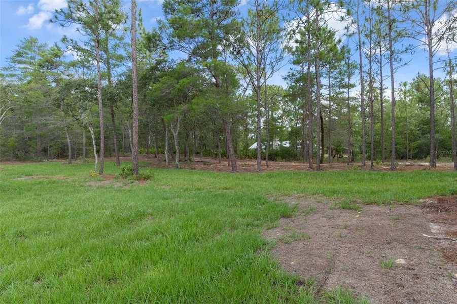 Natural landscape and outdoor views near in Beverly Hills (Image 56). Natural landscape and outdoor views near in Beverly Hills (Image 56).