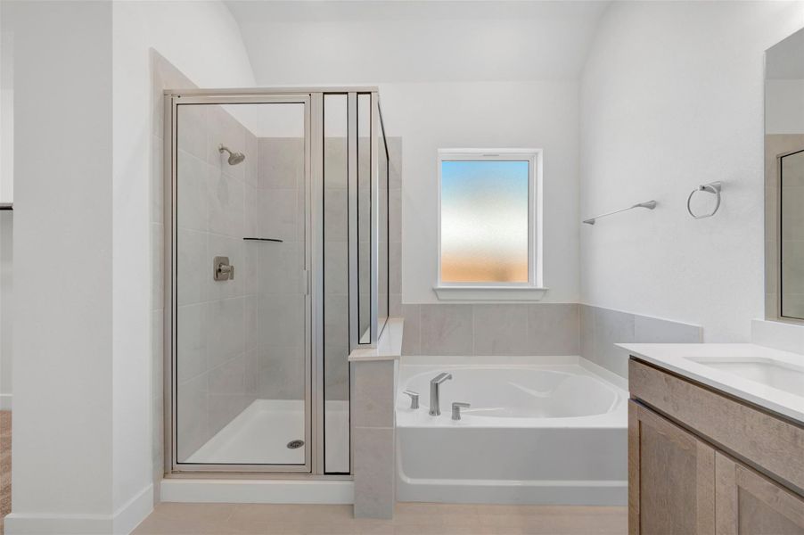 Owner's Bathroom