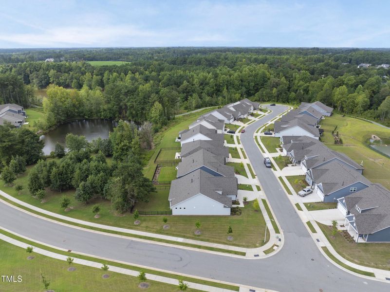 DJI_20250821103049_0033_D DJI_20250821103049_0033_D