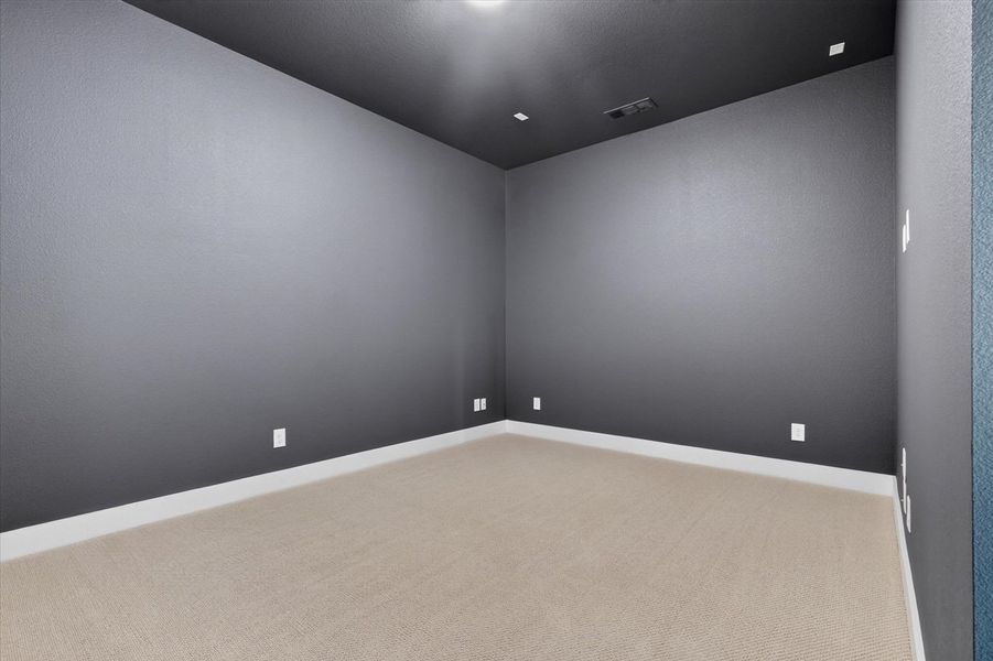 Entertainment Room