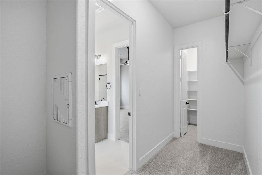 Walk in closet featuring light carpet