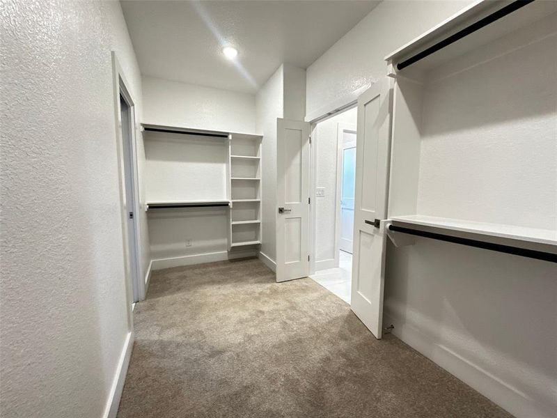 Walk in closet featuring carpet flooring