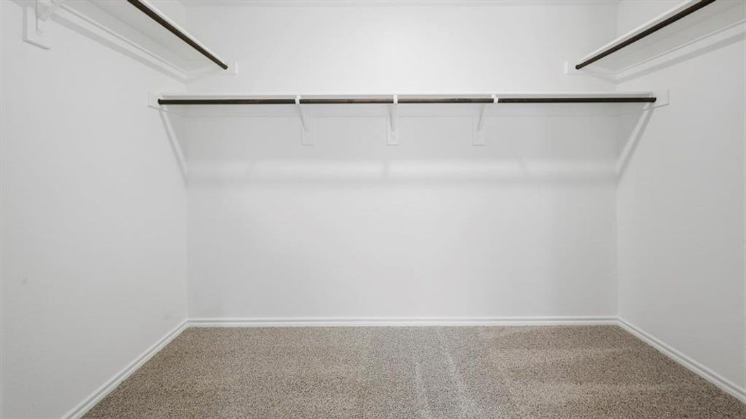 Walk in closet with carpet flooring