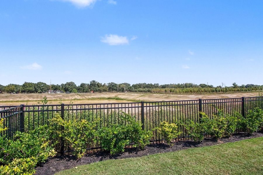 No backyard neighbors! No backyard neighbors!