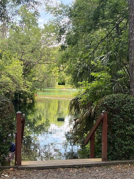 Natural landscape and outdoor views near in Dunnellon (Image 58). Natural landscape and outdoor views near in Dunnellon (Image 58).
