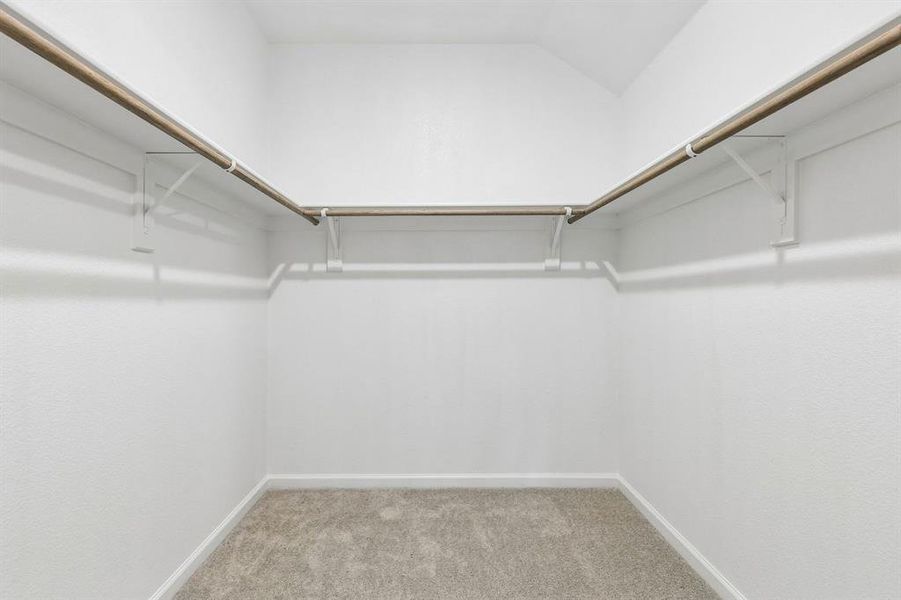 Representative (15) Representative (15)