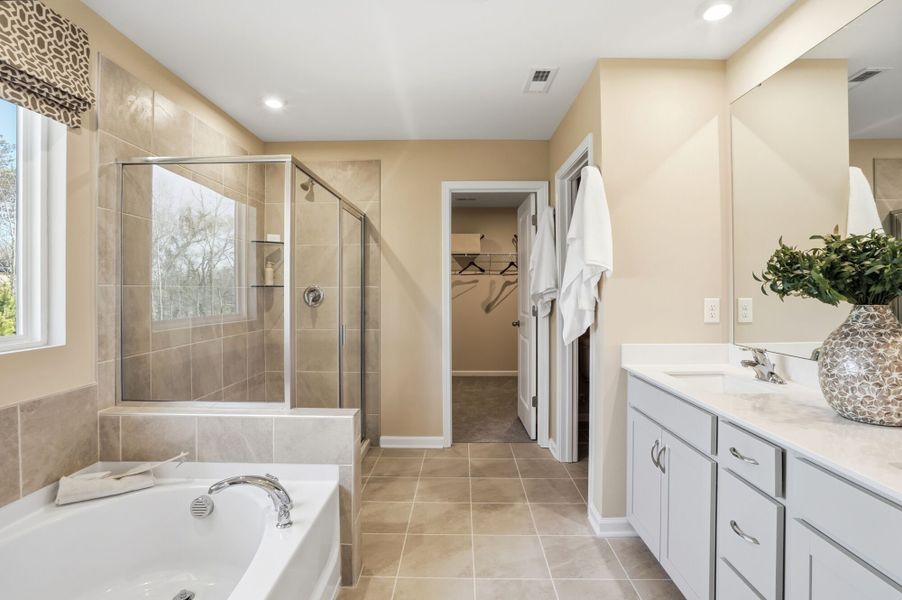 Redwood Model owner's bath