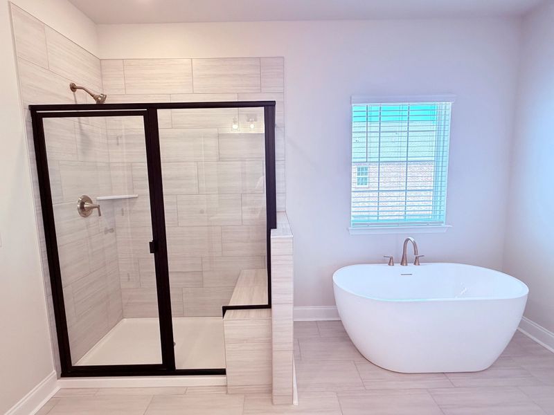 Primary Walk-in Shower & Bathtub