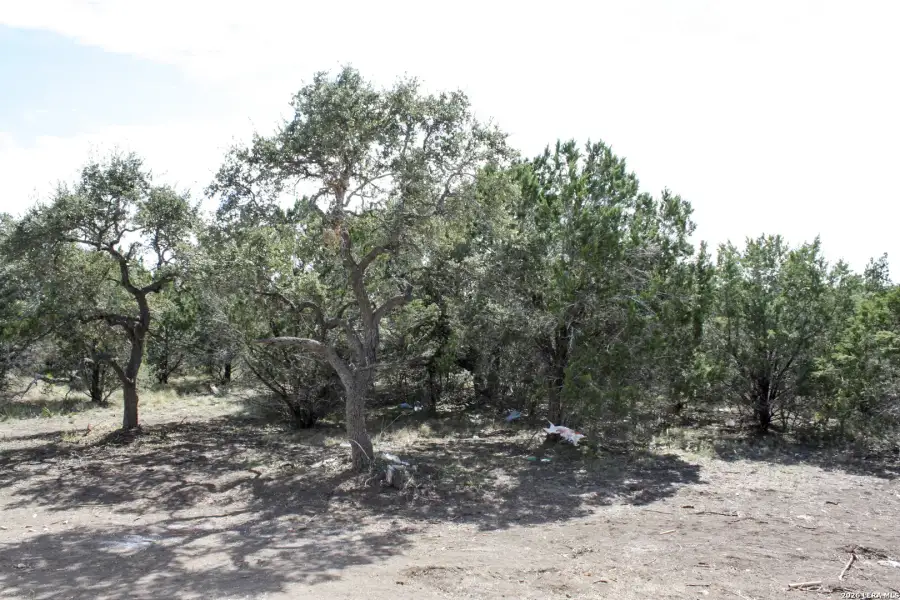 Natural landscape and outdoor views near  in Spring Branch (Image 14).