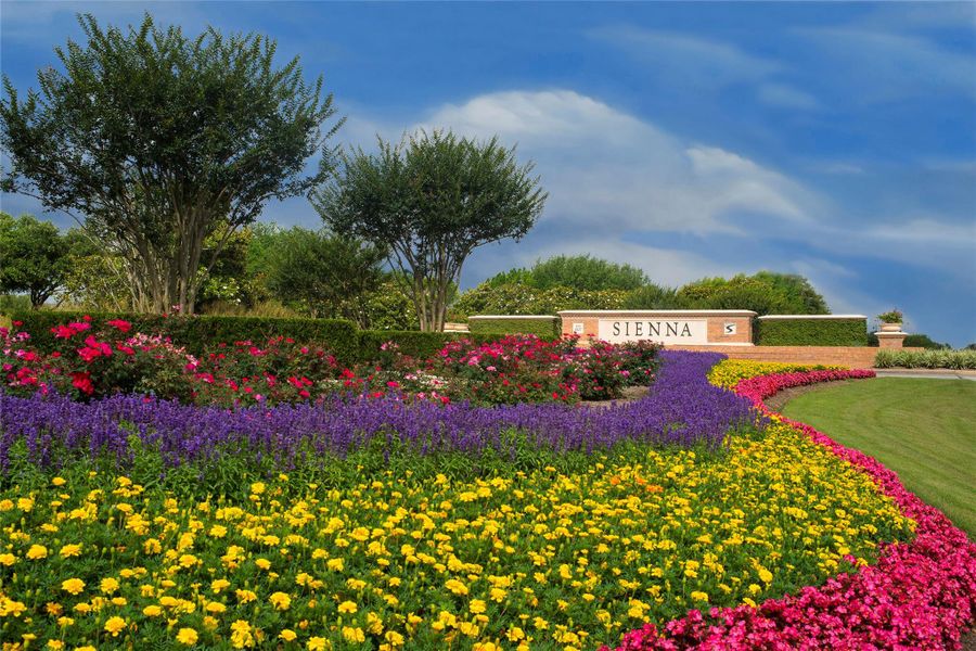 Image 27 of a home in Sienna.