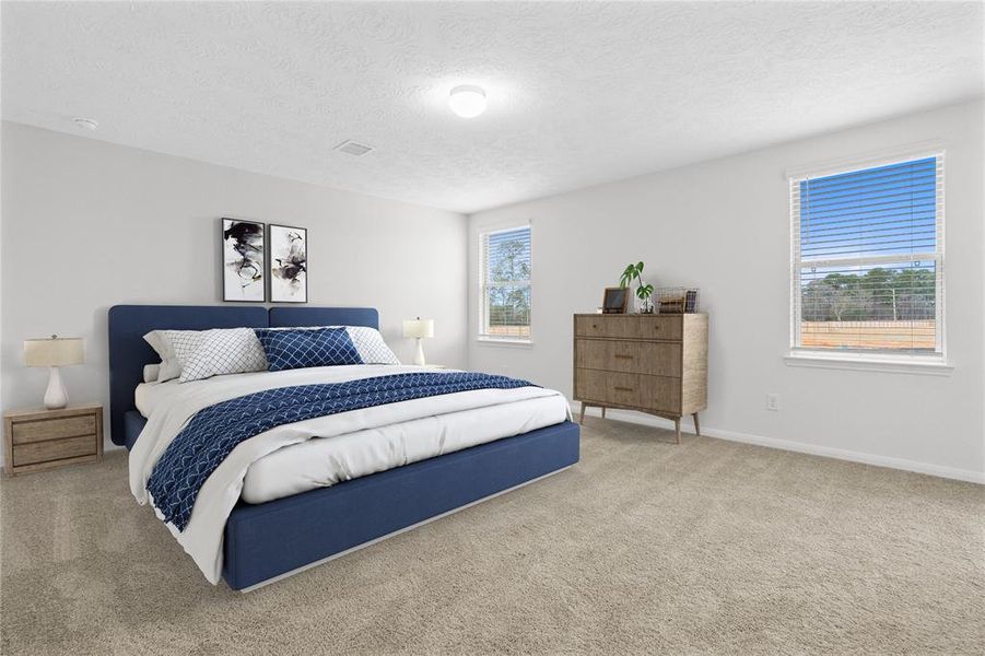 Come and unwind after a long day in this magnificent primary suite! This spacious room features plush carpet, warm paint, high ceilings, and large windows with privacy blinds!