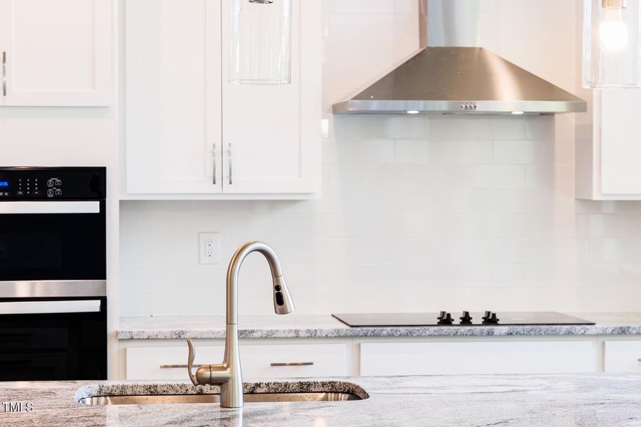 RDU_BVP_Lot 132_Shenandoah_QMI (11)