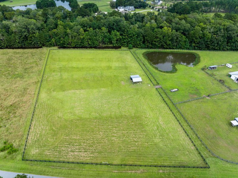 Natural landscape and outdoor views near  in Ravenel (Image 40).