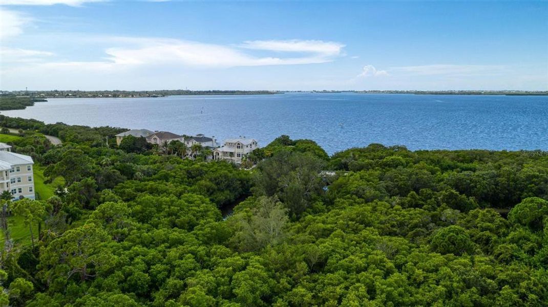 Natural landscape and outdoor views near  in Bradenton (Image 40).