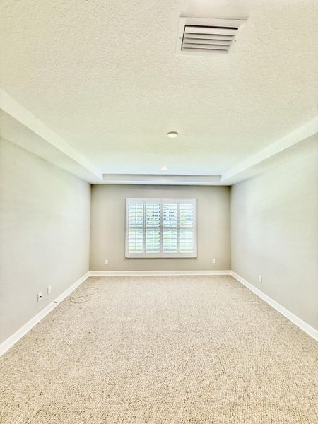 Tray Ceilings Plantation Shutters