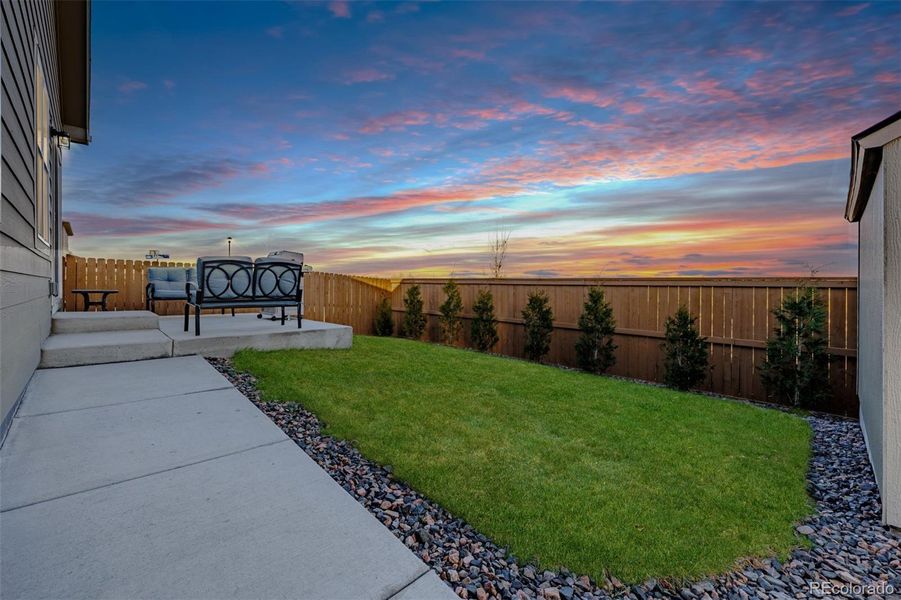 Privacy trees are expected to grow to 10' tall Privacy trees are expected to grow to 10' tall